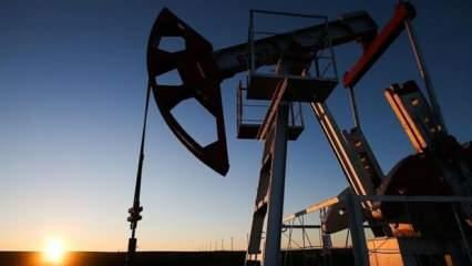 Kasımda OPEC'in petrol üretimi arttı