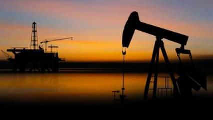 Petrol ve gaz rezervlerini bekleyen tehlike