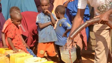 Somali’deki kuraklık tehlikesi! 2.8 milyon kişiyi etkiledi