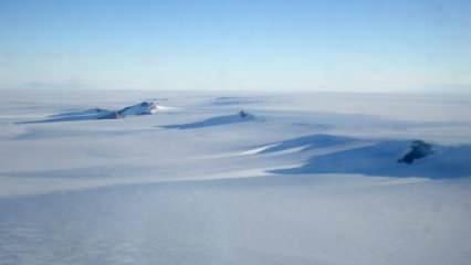 Antarktika'da yeni keşif: Buzun altında 77 canlı türü bulundu
