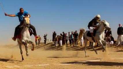 Arap kabilelerinin at yarışında kupayı 12 yaşındaki jokey kaldırdı