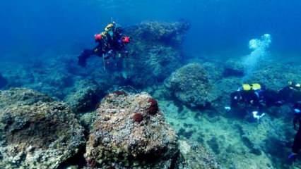 Çöp toplarken buldular! Dünya deniz altındaki 1700 yıllık hazineyi konuşuyor