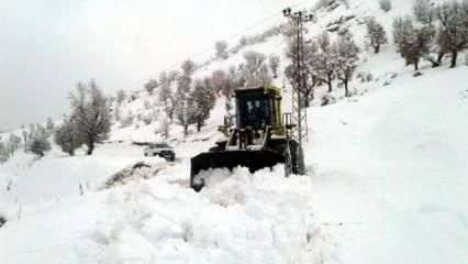 Doğu Anadolu'da kar esareti: 708 köye ulaşım sağlanamıyor