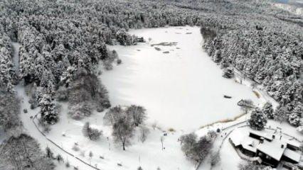 Gölcük Tabiat Parkı'nda göl buz tuttu