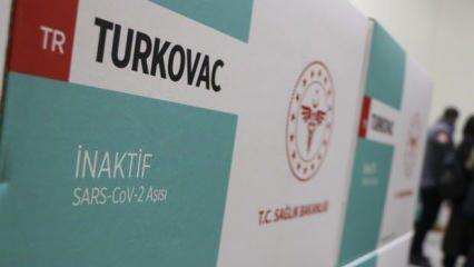 İlk Turkovac aşılarının analizi başladı