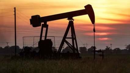 Libya Petrol Tesisleri Muhafızları 3 petrol sahasını kapattı