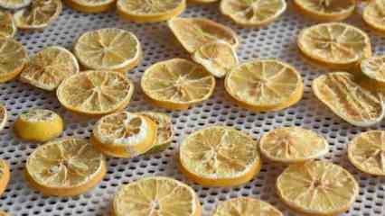 Portakal, muz ve limonu kurutup katma değerini artırdılar