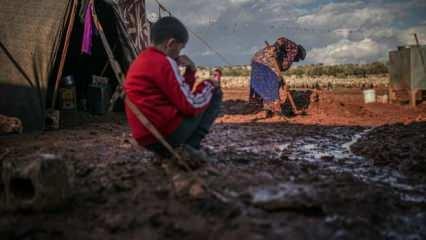 Suriyeli mültecilerin zorlu yaşam mücadelesi