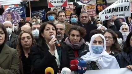 CHP'li Sezgin Tanrıkulu HDP'lilerle eylemde