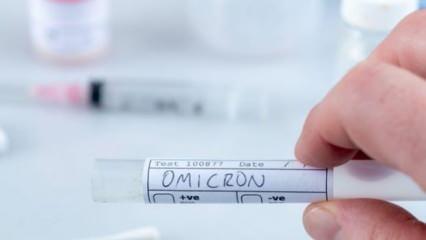 Omicron Hollanda'da baskın varyant haline geldi
