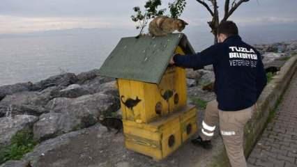 Tuzla Belediyesi kısıtlamada sokak hayvanlarını unutmadı