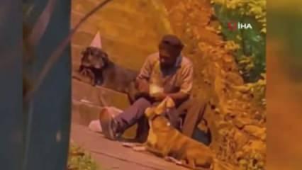 Evsiz adam doğum gününü köpeklerle kutladı