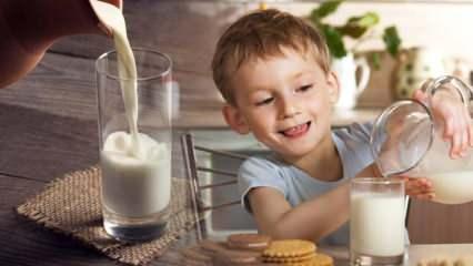 Gece yatmadan önce süt içmenin faydaları nelerdir? Yatmadan süt içmek faydalı mı zararlı mı?