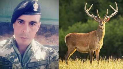 Cumhurbaşkanlığı Sarayı'na giren geyik bir askeri öldürdü