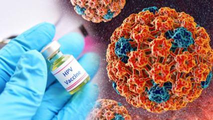 100 kadından 98’i tehlike altında: HPV virüsü