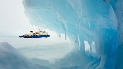 Gemilere tutunan canlılar, Antarktika'nın ekosistemini tehdit edebilir