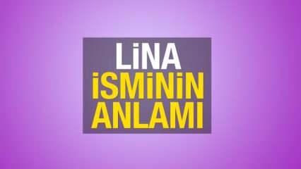 Lina isminin anlamı nedir? Lina isminin kelime anlamı ve kökeni...