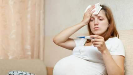 Hamilelikte gribe dikkat! Bebek ölümlerine neden olabiliyor