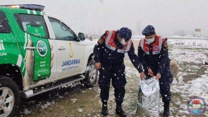 Bakan Soylu paylaştı: Polis ve jandarmadan sıra dışı çalışma