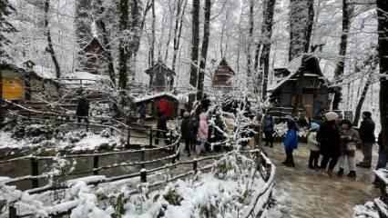 Kocaeli, Ormanya karla kaplı güzelliğiyle ziyaretçilerini bekliyor