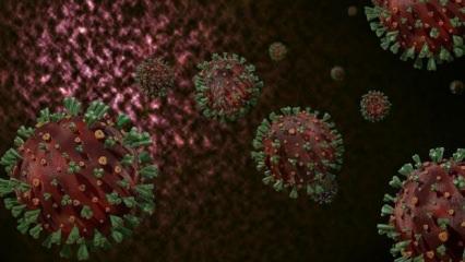 Koronavirüste yeni varyantlar görebiliriz