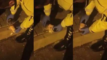 Yavru kediyi polis ekiplerinin dikkati kurtardı