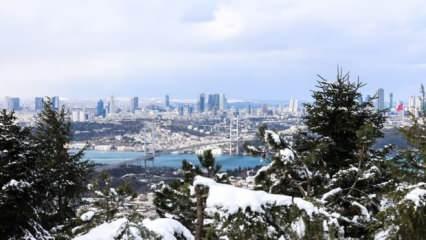 Vali Yerlikaya'dan İstanbullulara uyarı: Fırtına, don ve buzlanmaya dikkat!