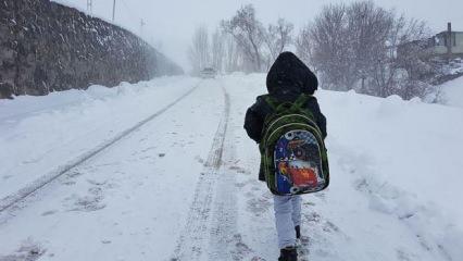 Yoğun kar yağışı! 50'den fazla ilde okullar tatil edildi