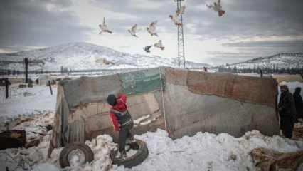 BM'den dehşete düşüren haber:  Yoğun kardan 1000 çadır çöktü