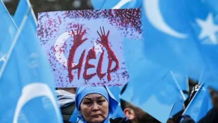 Çin Uygur Türkleri'nin durumu için kapılarını BM'ye açıyor