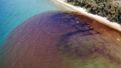 Tayland'daki petrol sızıntısı nedeniyle OHAL ilan edildi
