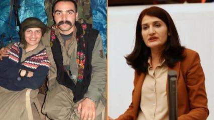 Hazırlık Komisyonu HDP'li Semra Güzel'in savunması için çarşamba günü tekrar toplanacak
