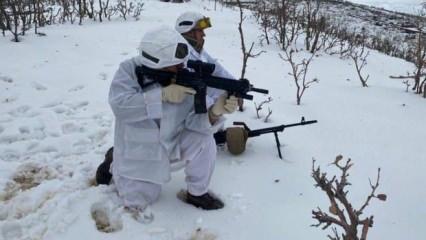 İçişleri Bakanlığı: Eren Kış-19 operasyonu başladı