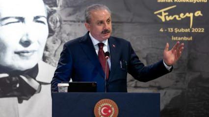 Meclis Başkanı Şentop'tan Atatürk ve Adalet heykellerine saldırıya tepki