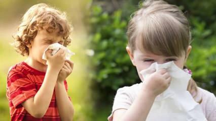 Çocuklarda tedavi edilmeyen alerji okul başarısını etkiliyor