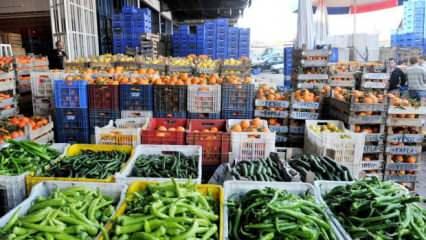 Cep yakan sebze fiyatları geriledi: Salatalık 35 TL'den 13 TL'ye düştü