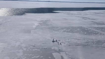ABD'de buz kütlesinin kırılmasıyla gölde mahsur kalanlar kurtarıldı