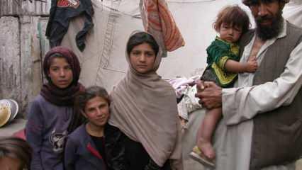 Uluslararası Göç Örgütü, Afganistan için 589 milyon dolar istedi