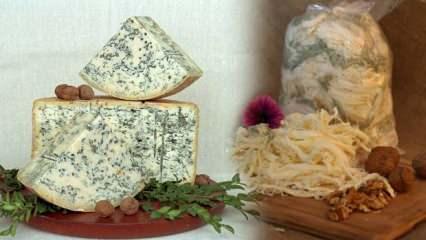 Yeşil küflü peynirin faydaları nelerdir?