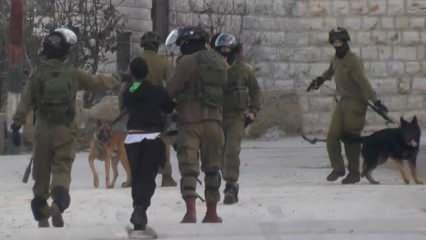İsrail askerleri, Filistinli gencin üzerine köpek saldı