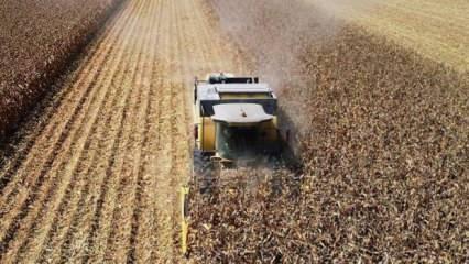  Tarım ÜFE ocakta yıllık yüzde 52 arttı