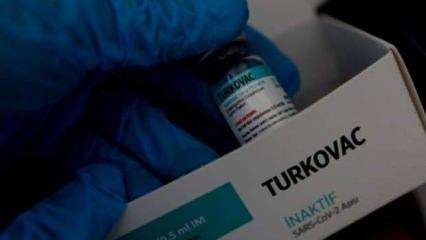Turkovac aşısı nasıl elde ediliyor? Aşının içinde ne var?