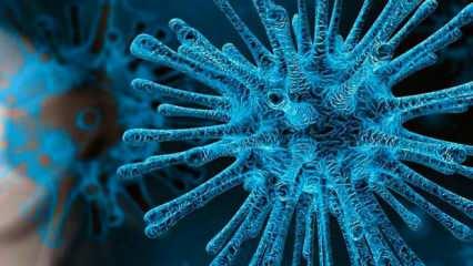 Son dakika: 25 Şubat koronavirüs tablosu açıklandı! 