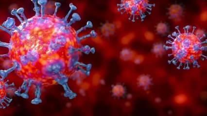 Son dakika: 26 Şubat koronavirüs tablosu açıklandı!