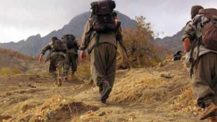 PKK'lı 3 terörist ikna yoluyla teslim oldu