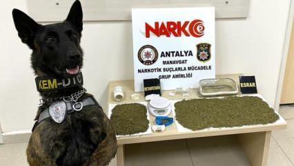 Antalya'da uyuşturucu operasyonunda yakalanan 2 zanlı tutuklandı