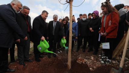 Şahinbey Belediyesi ağaçlandırma çalışmalarını sürdürüyor