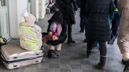 Sırbistan: Ukraynalı mültecileri almaya hazırız