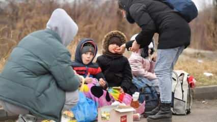 Ukraynalılar ülkeyi terk etti ABD ve AB'nin mülteci çifte standardı ortaya çıktı