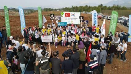 Yanan ormanlarımız Türkiye-Kore dostluğuyla yeniden yeşeriyor